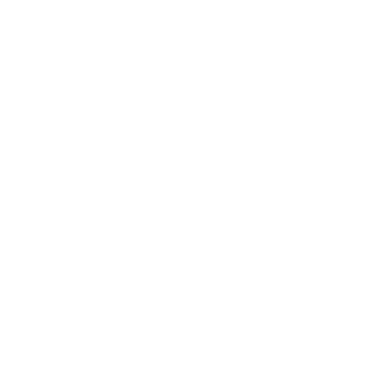 horses the knight group