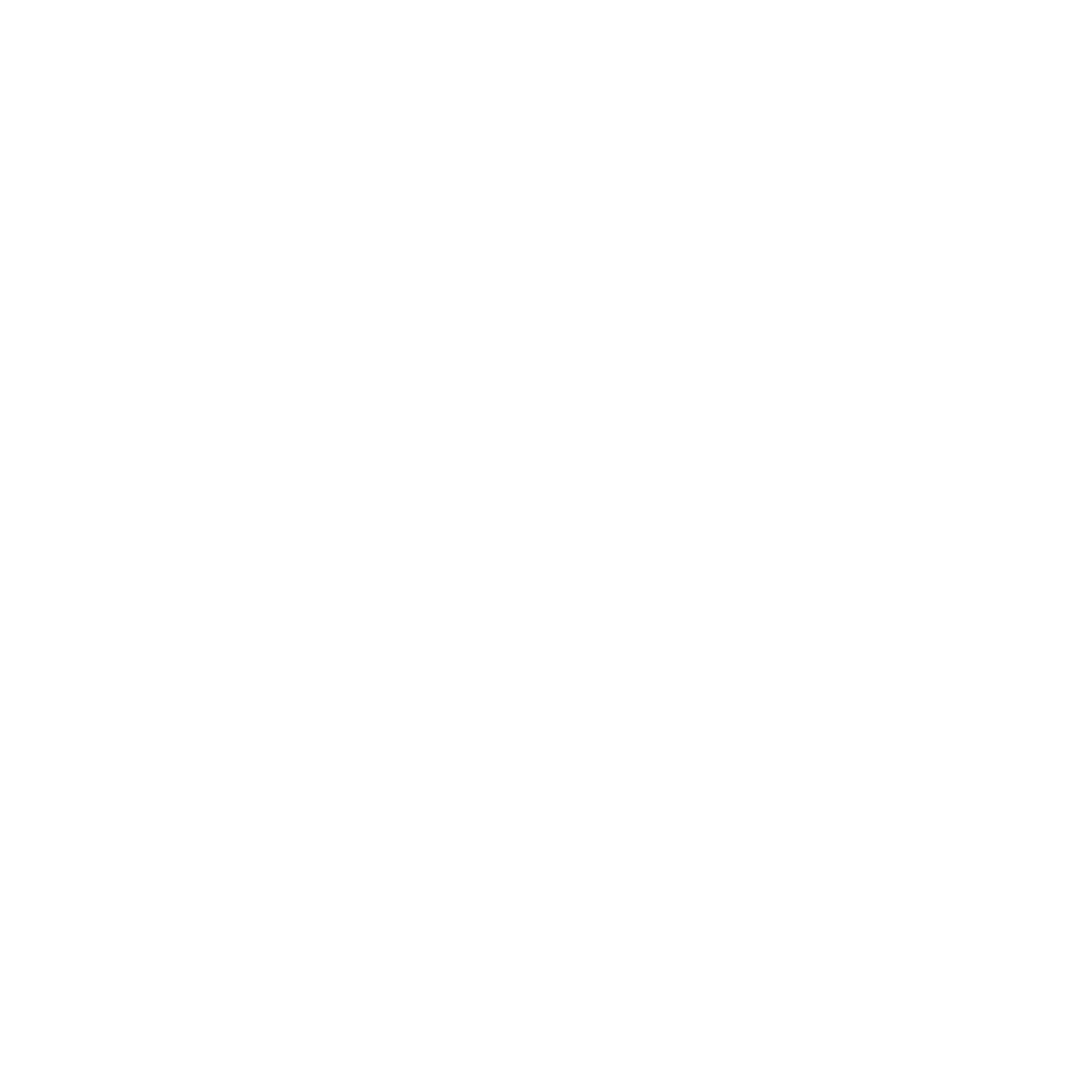 style 2 the knight group