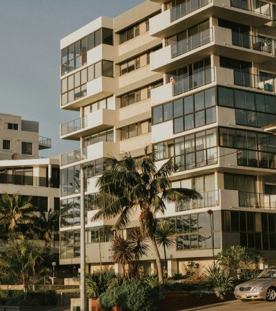 green palm tree near silver sedan