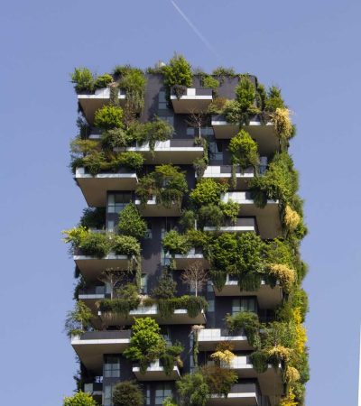 building covered in plants