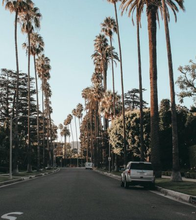 White Vehicle Parked on Road Between Trees