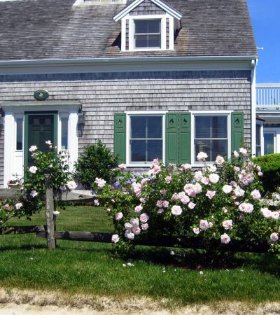 cape cod homes for sale