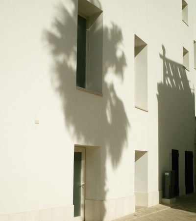 A shadow of a tree on the side of a building