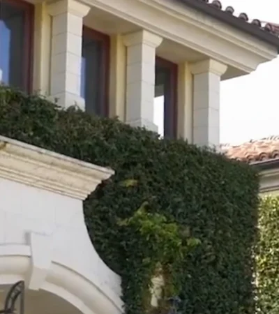 bella vista estates beverly hills