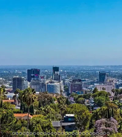 a city with trees and buildings