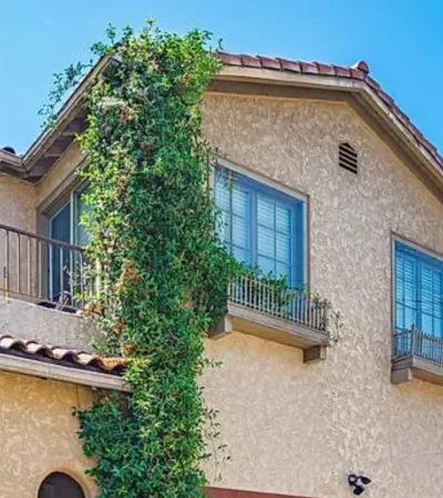 a building with a balcony and a vine growing on it