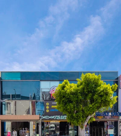 a tree in front of a building