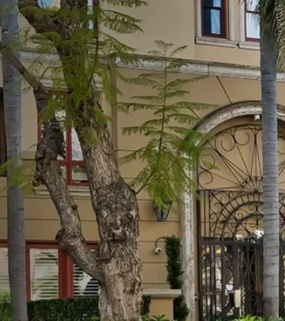 oakhurst condominiums beverly hills