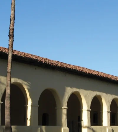 a building with arches and a palm tree