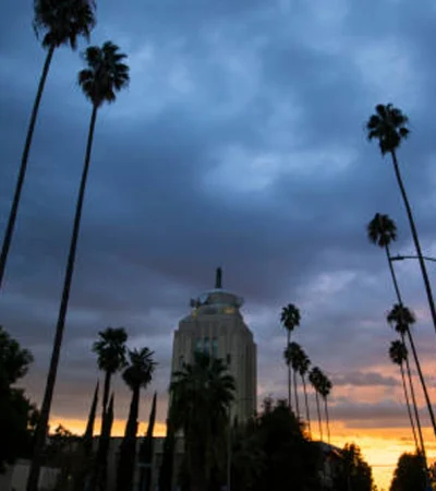a tall palm trees and a building