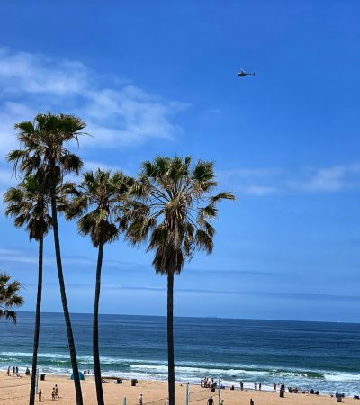 palm tree near beach during daytime