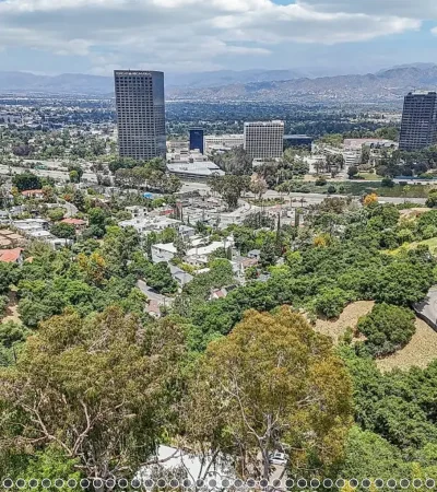 a city with trees and buildings