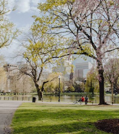 people walking on park during daytime