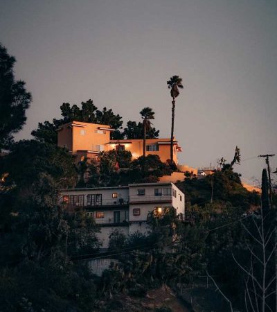 buildings near green trees during nighttime