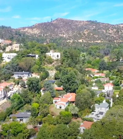 a group of houses in a forest