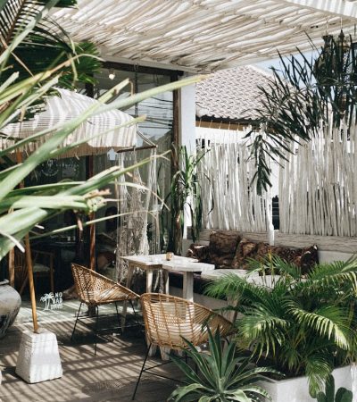 white table with brown wicker chair beside plants