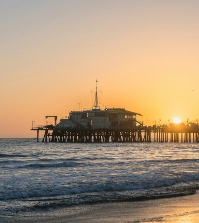 brown wooden boardwalk
