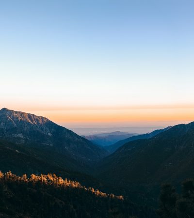 green trees on mountain under blue sky during daytime