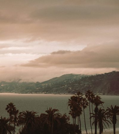 a body of water surrounded by palm trees