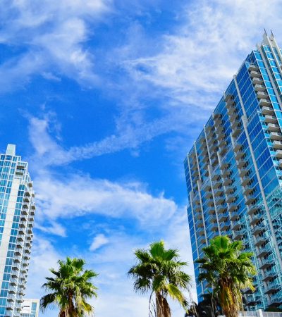green palm trees near high rise buildings under blue sky during daytime