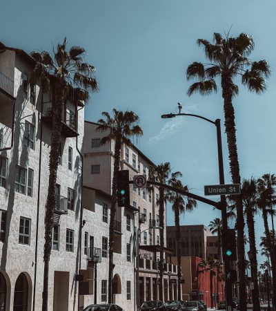 a city street with palm trees and a traffic light