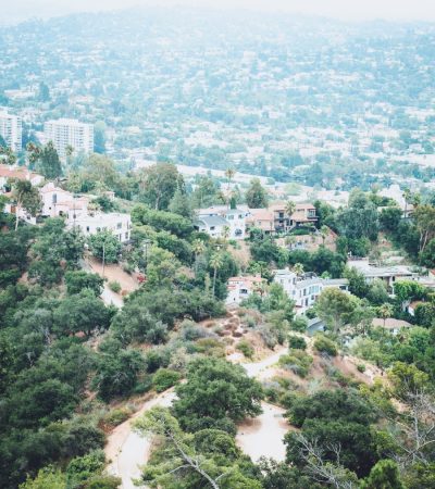 aerial view of green trees and buildings during daytime